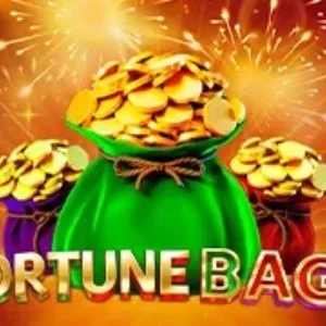 Fortune Bags